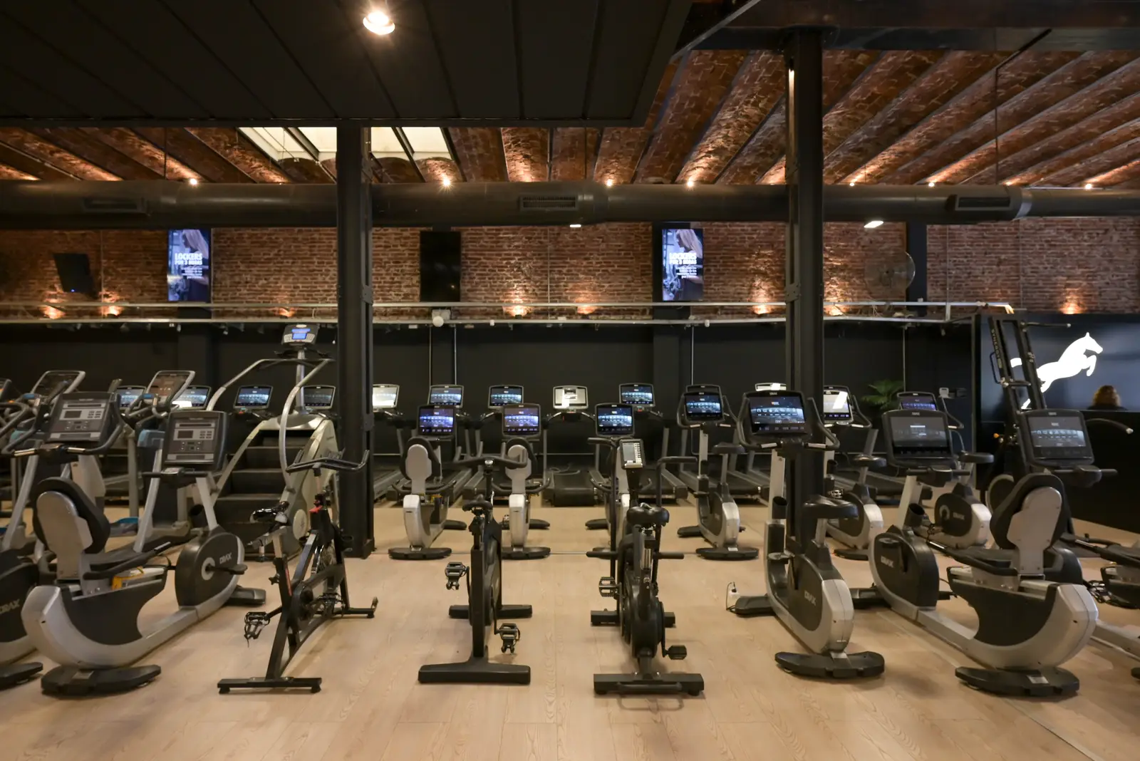 Bicicletas y elípticos en el sector de cardio de Full Fitness Bahía Blanca